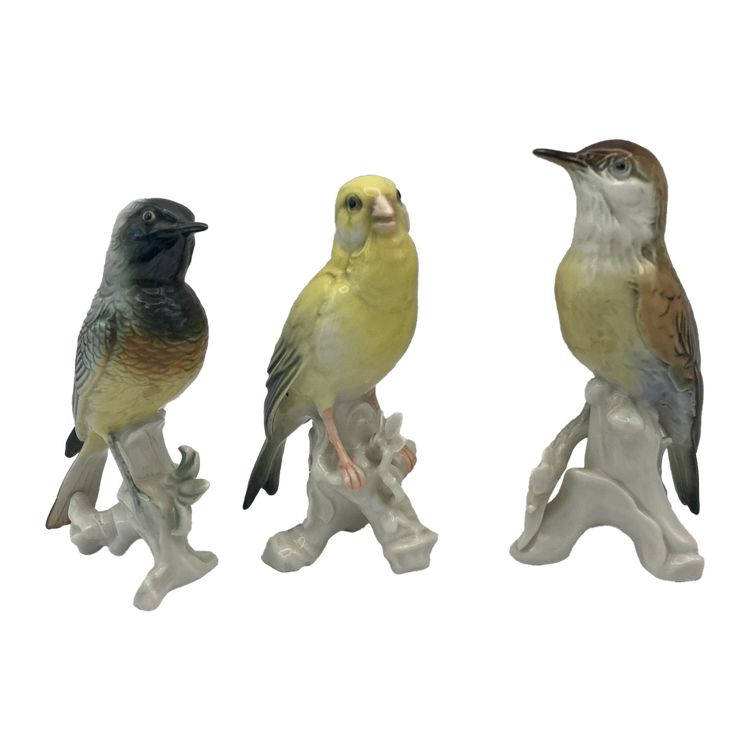 Birds Karl Ens