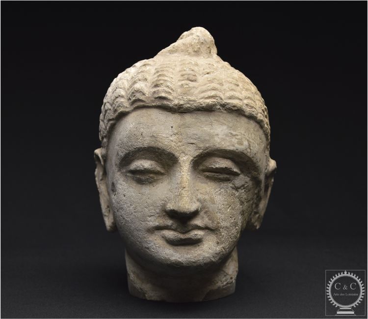 Pakistan, Ancient Gandhara region, 2nd-3rd century AD, Stucco Buddha head