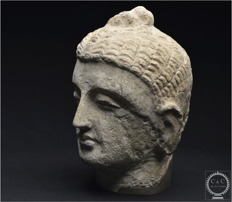 Pakistan, Ancient Gandhara region, 2nd-3rd century AD, Stucco Buddha head