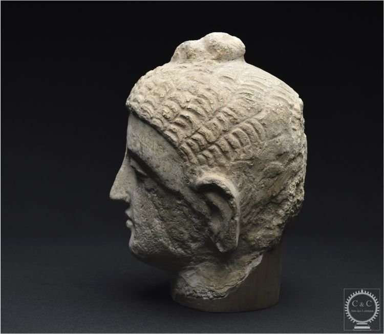 Pakistan, Ancient Gandhara region, 2nd-3rd century AD, Stucco Buddha head