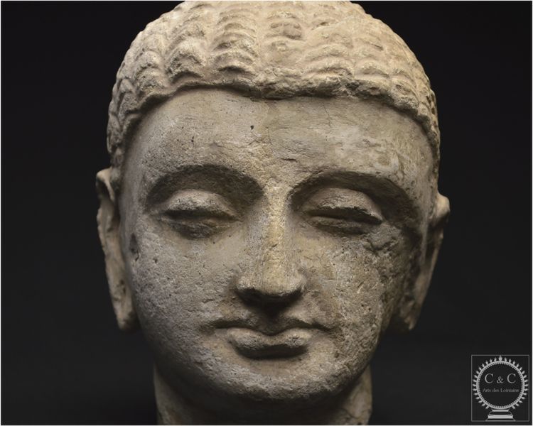 Pakistan, Ancient Gandhara region, 2nd-3rd century AD, Stucco Buddha head