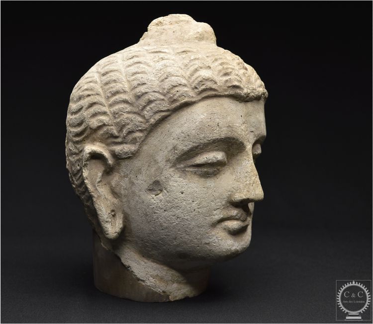 Pakistan, Ancient Gandhara region, 2nd-3rd century AD, Stucco Buddha head