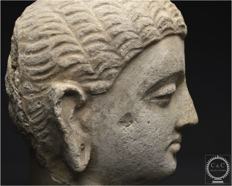 Pakistan, Ancient Gandhara region, 2nd-3rd century AD, Stucco Buddha head