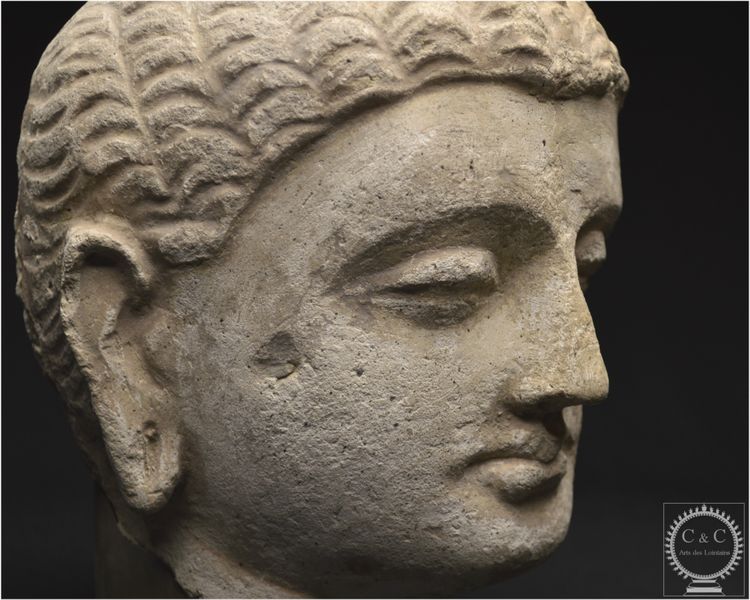 Pakistan, Ancient Gandhara region, 2nd-3rd century AD, Stucco Buddha head