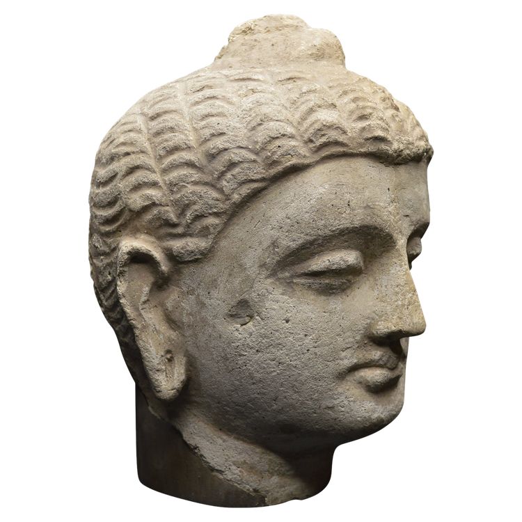 Pakistan, Ancient Gandhara region, 2nd-3rd century AD, Stucco Buddha head