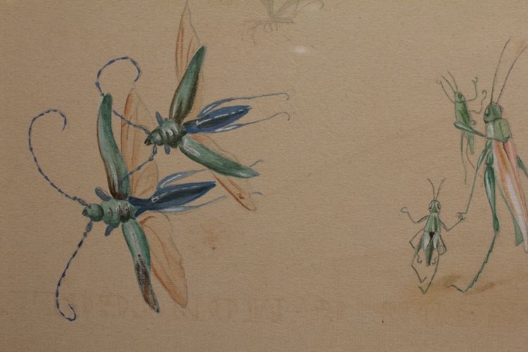 Humorous studies representing insects, gouache drawing signed around 1910