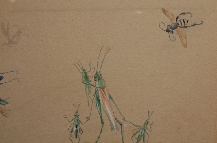 Humorous studies representing insects, gouache drawing signed around 1910