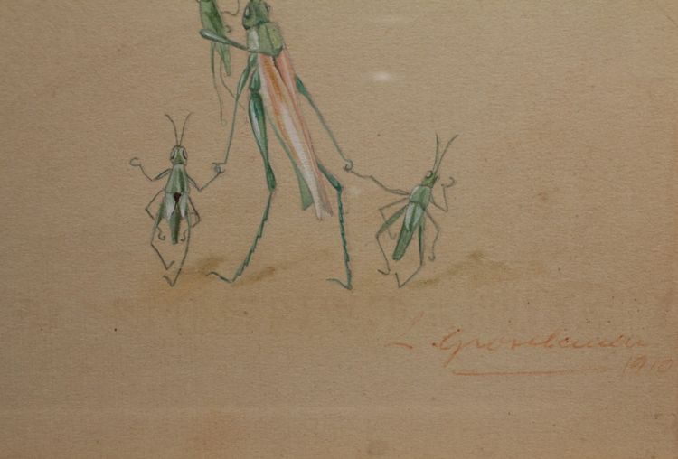 Humorous studies representing insects, gouache drawing signed around 1910
