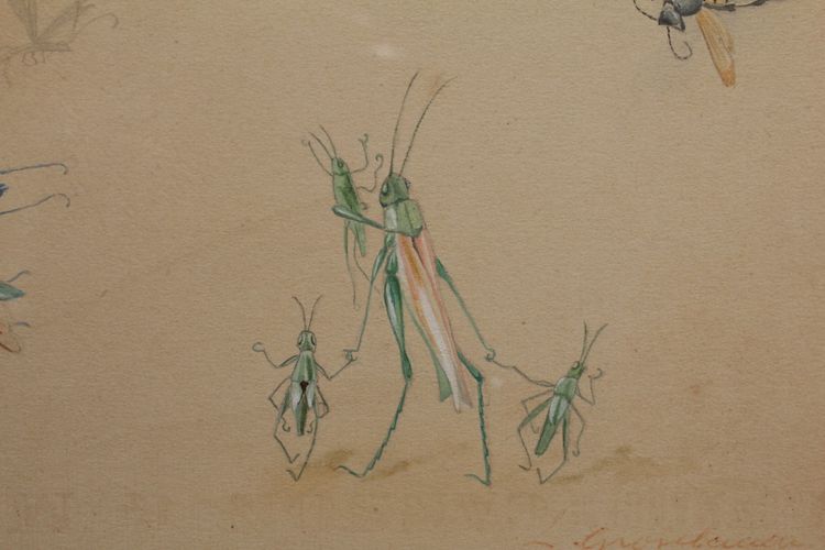 Humorous studies representing insects, gouache drawing signed around 1910