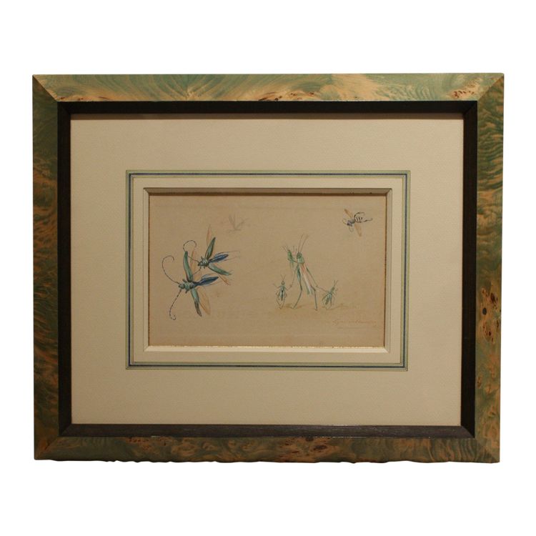 Humorous studies representing insects, gouache drawing signed around 1910