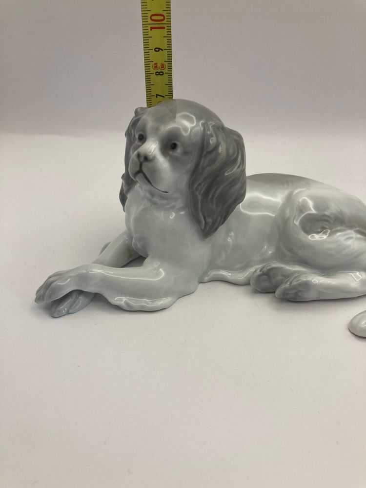 Cavalier King Charles