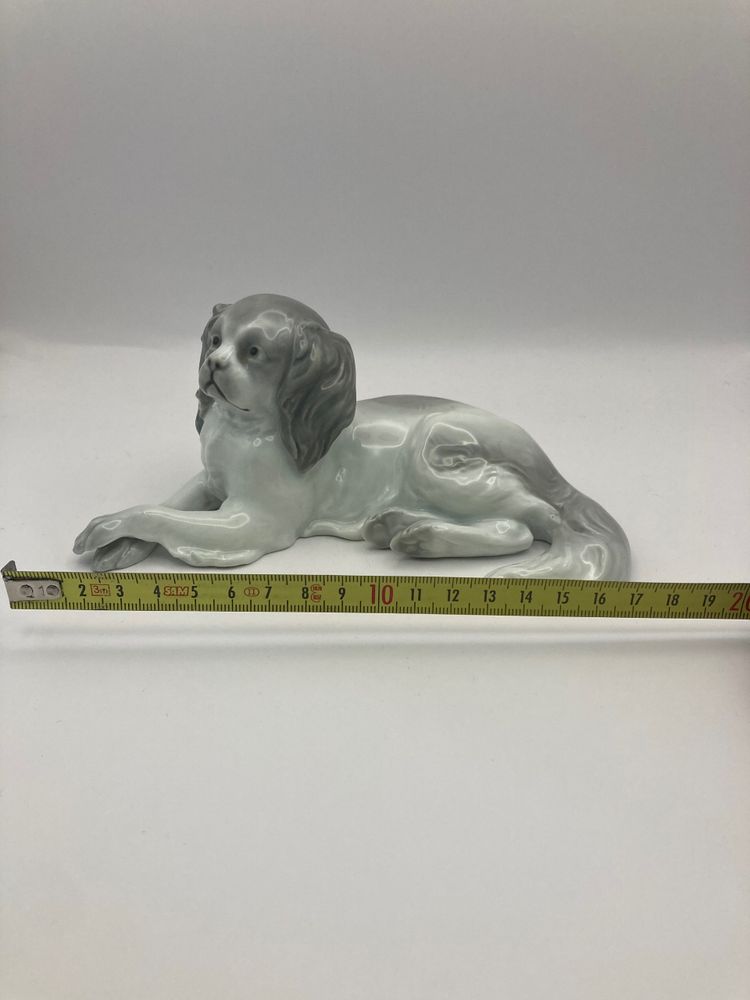 Cavalier King Charles