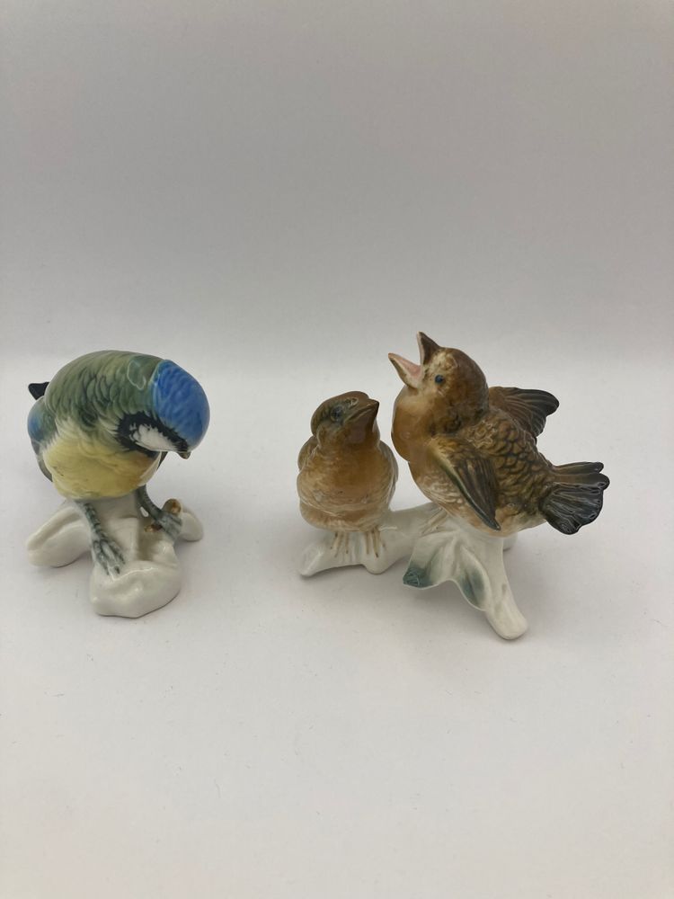 Tit and sparrows