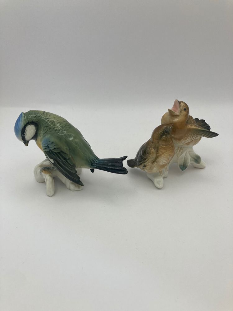 Tit and sparrows