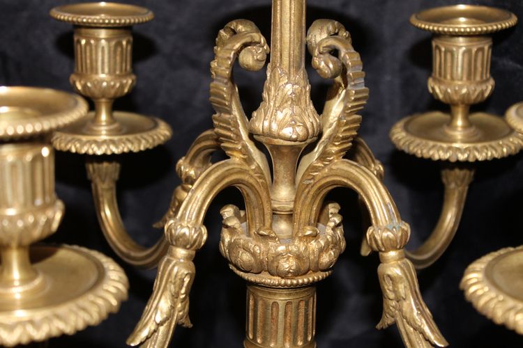 Coppia di candelabri in bronzo a 5 bracci in stile Luigi XVI, XIX secolo