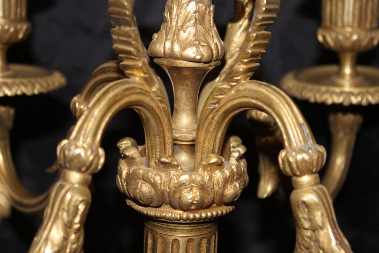 Coppia di candelabri in bronzo a 5 bracci in stile Luigi XVI, XIX secolo