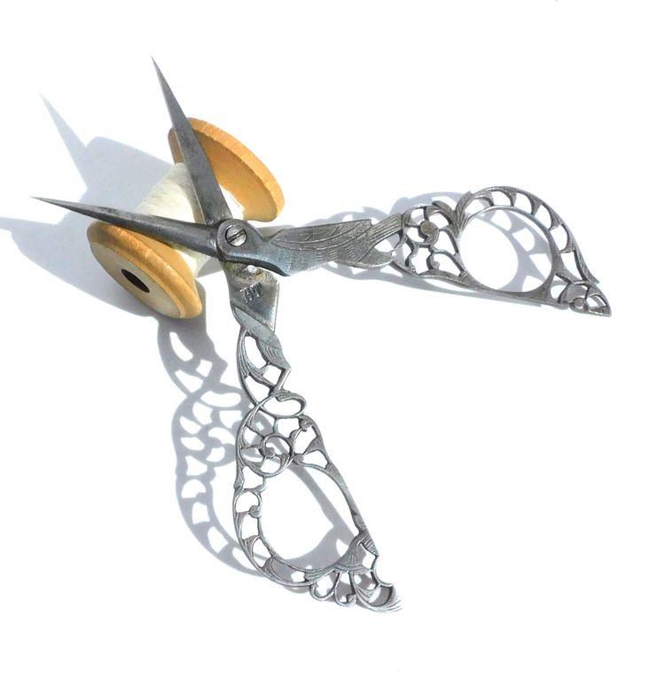 Pair of Italian Sewing Embroidery Scissors, Steel Lace, Bartolomeo Terzano, 19th Century