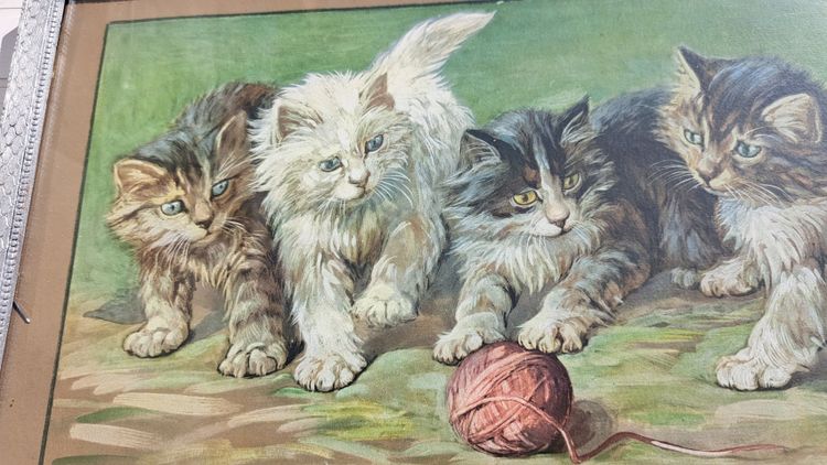 Tableau gravure de  Fannie Moody  chats jouent avec pelote de laine XXEME