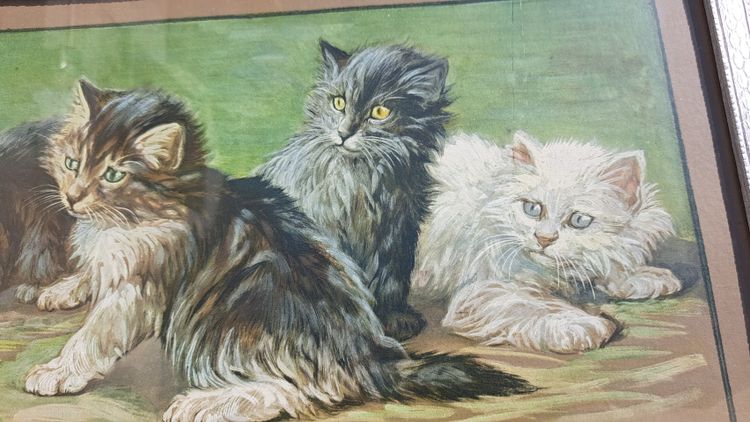 Tableau gravure de  Fannie Moody  chats jouent avec pelote de laine XXEME