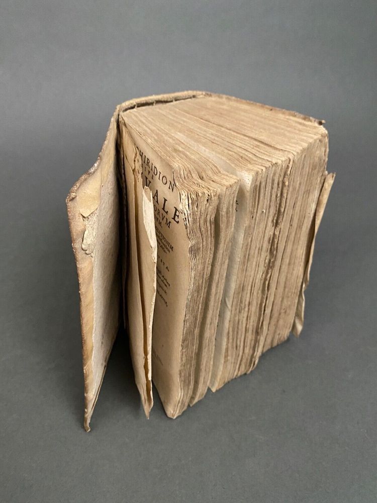 Livre Enchiridion Manuale Martino Azpilcueta Doctore Navarro Franci 1620