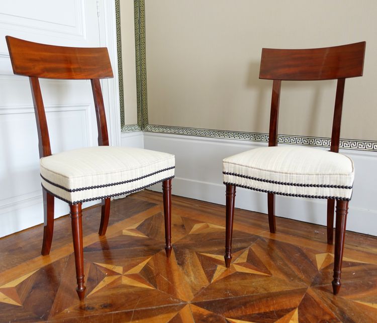Set of 10 Directoire dining room chairs in mahogany with horsehair covers, Jacob model