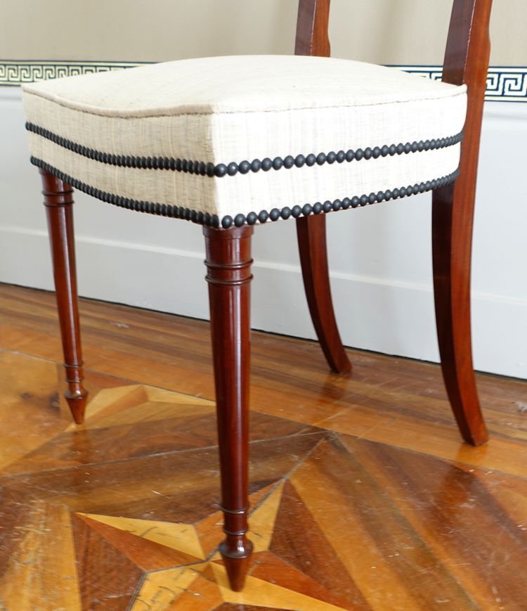 Set of 10 Directoire dining room chairs in mahogany with horsehair covers, Jacob model