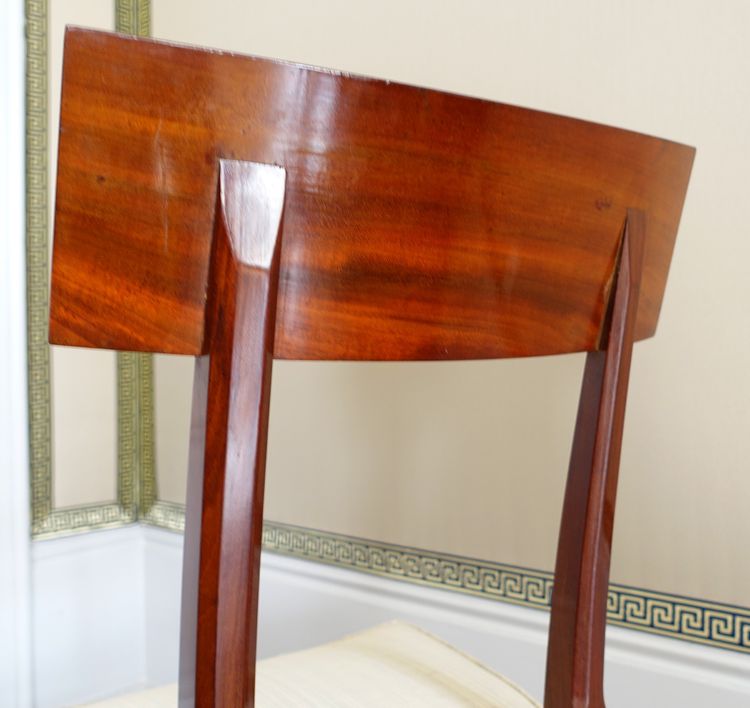 Set of 10 Directoire dining room chairs in mahogany with horsehair covers, Jacob model