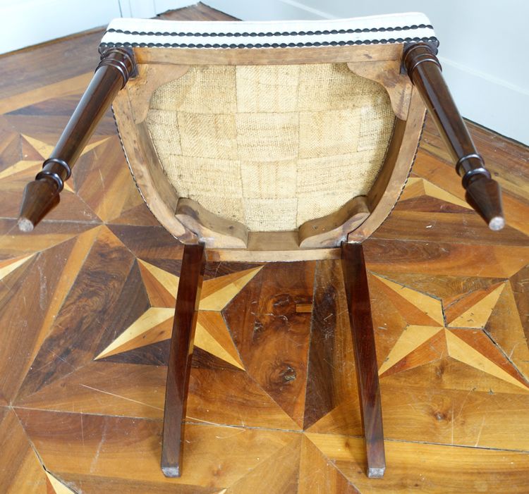Set of 10 Directoire dining room chairs in mahogany with horsehair covers, Jacob model