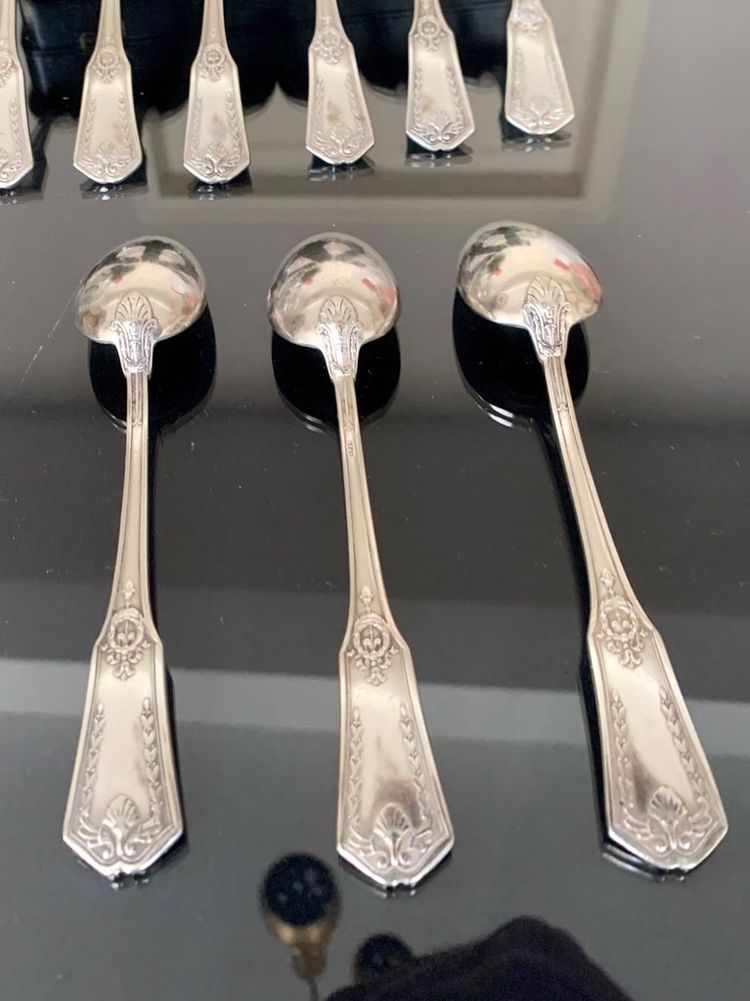 Silver Plated Dessert Spoons in Boxed Set