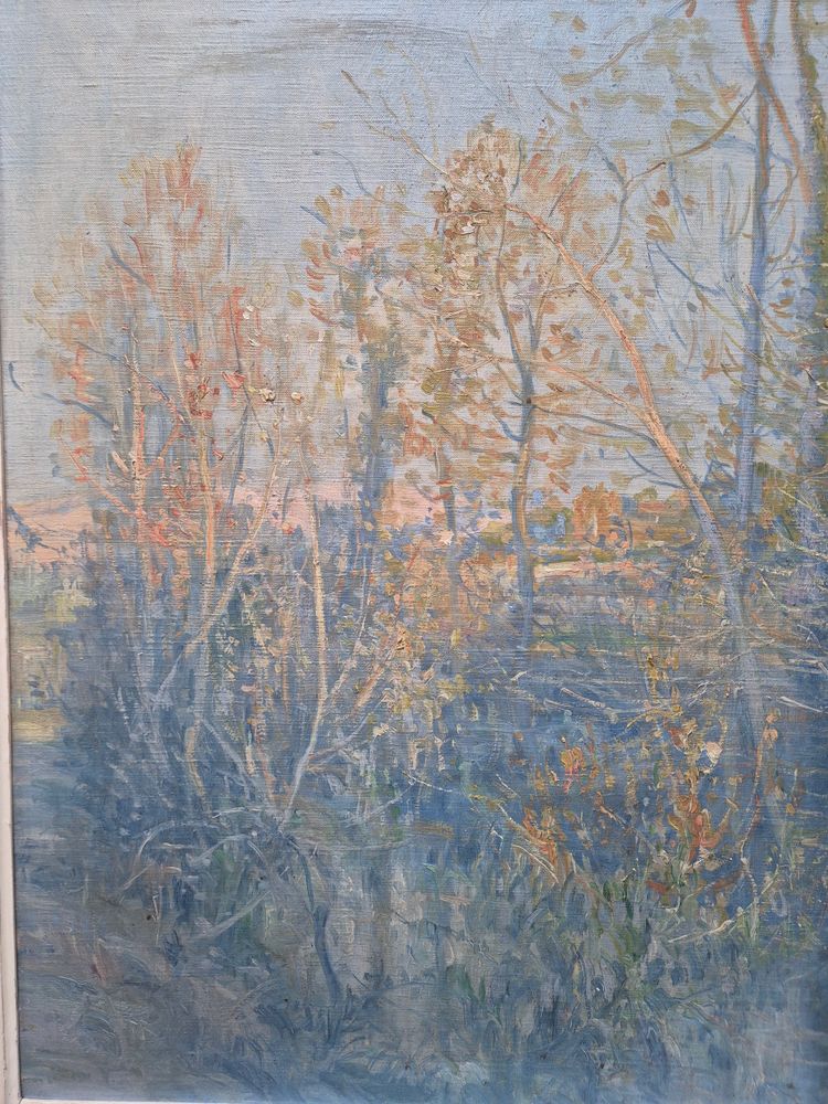 paesaggio dietro gli alberi di Franc Lamy