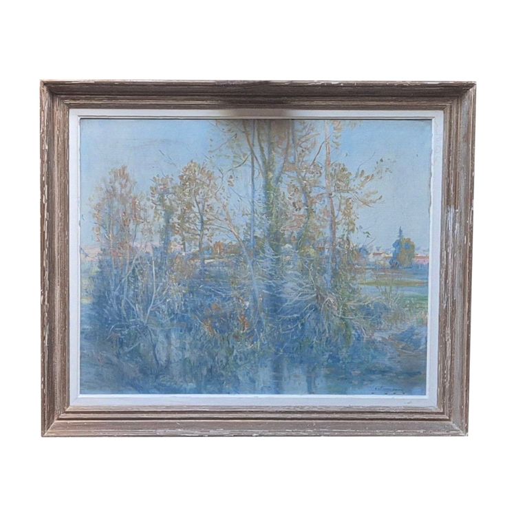 paesaggio dietro gli alberi di Franc Lamy