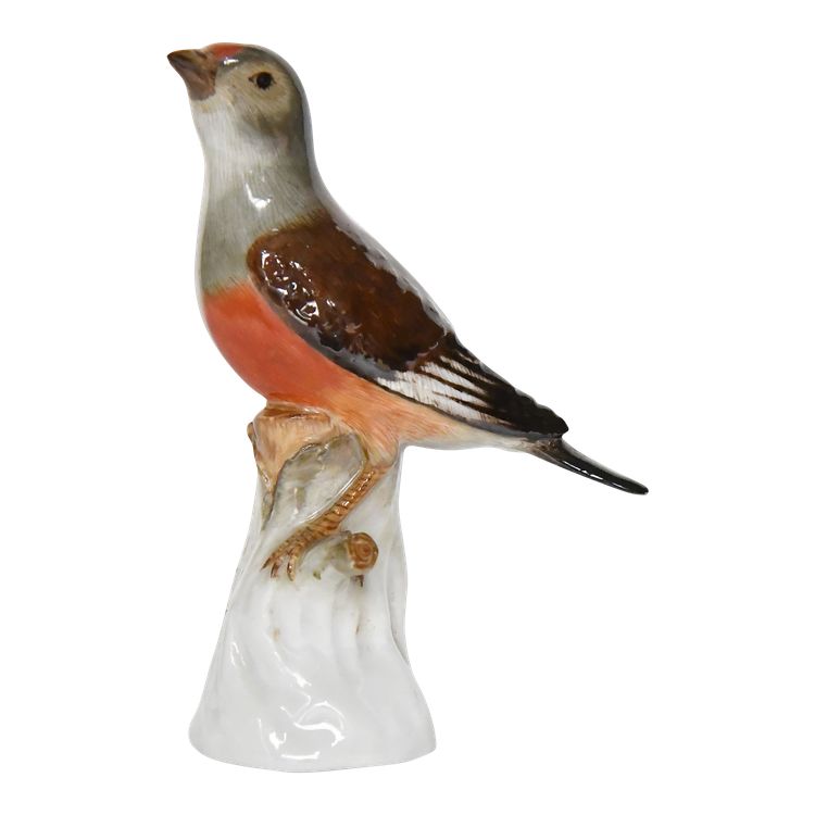 Meissen porcelain statuette representing the bird Linotte mélodieuse. Model 110