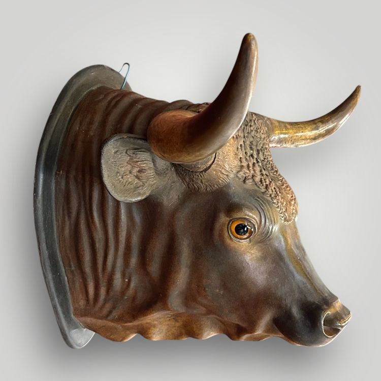Grande trofeo di toro a grandezza naturale in terracotta policroma - Segno Fine XIX secolo