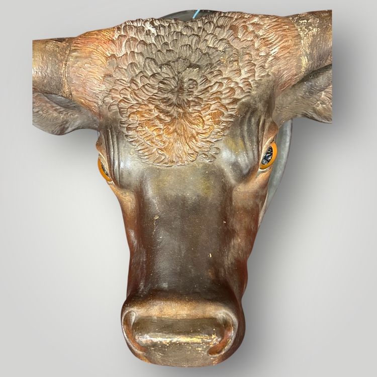 Grande trofeo di toro a grandezza naturale in terracotta policroma - Segno Fine XIX secolo