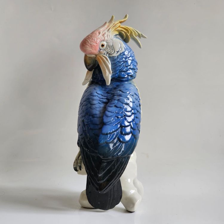 Karl Ens large parrot