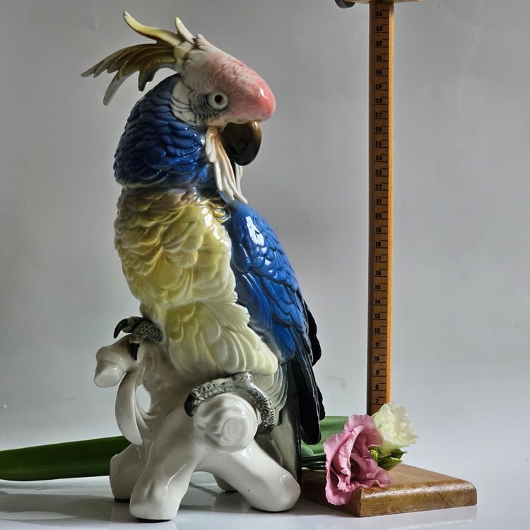 Karl Ens large parrot