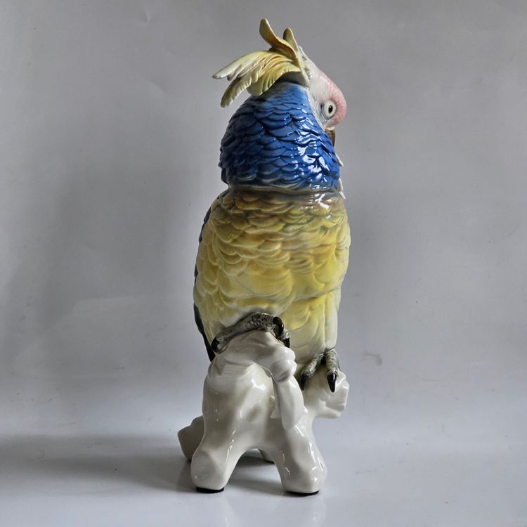 Karl Ens large parrot