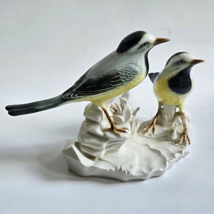Birds Karl Ens