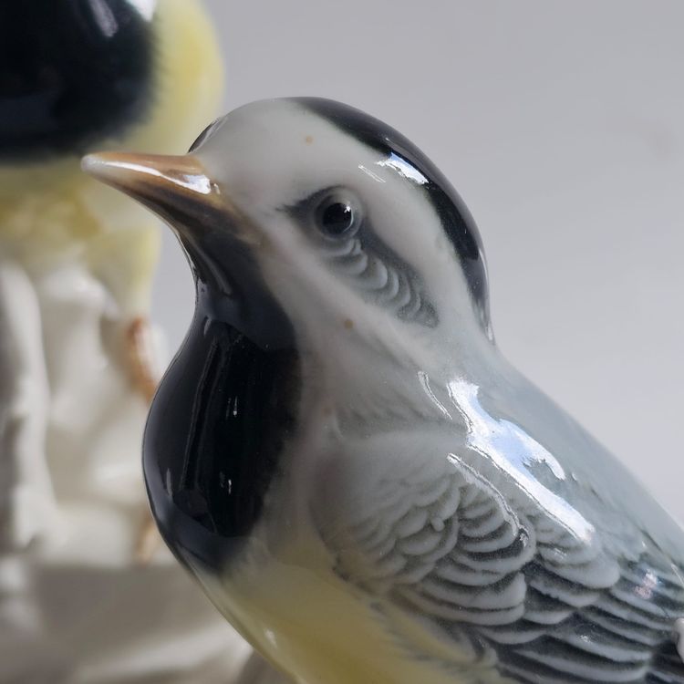 Birds Karl Ens
