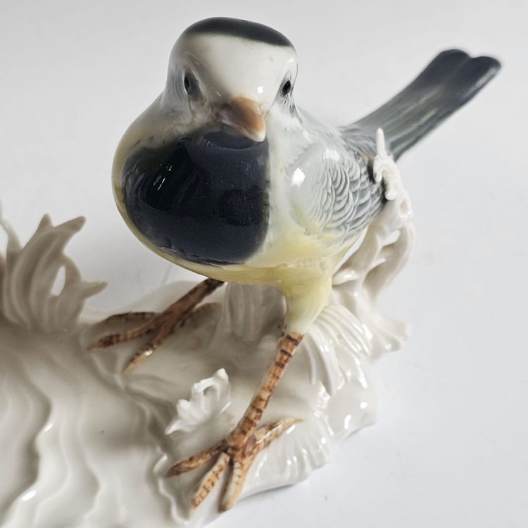 Birds Karl Ens