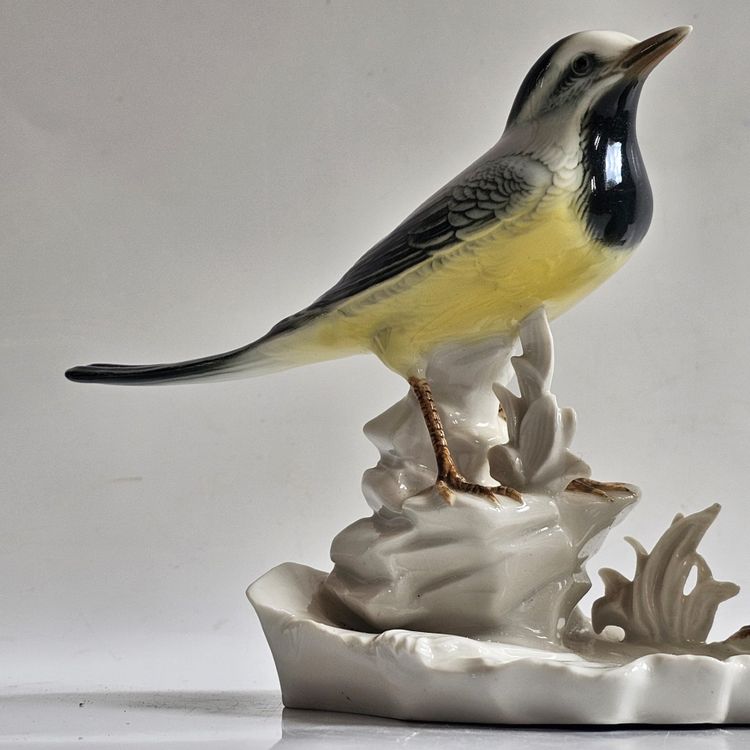 Birds Karl Ens