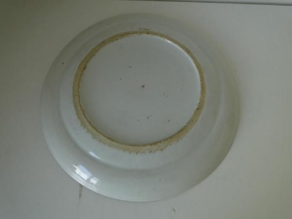 Piatto blu e bianco, porcellana cinese, decorazione con vegetazione antica