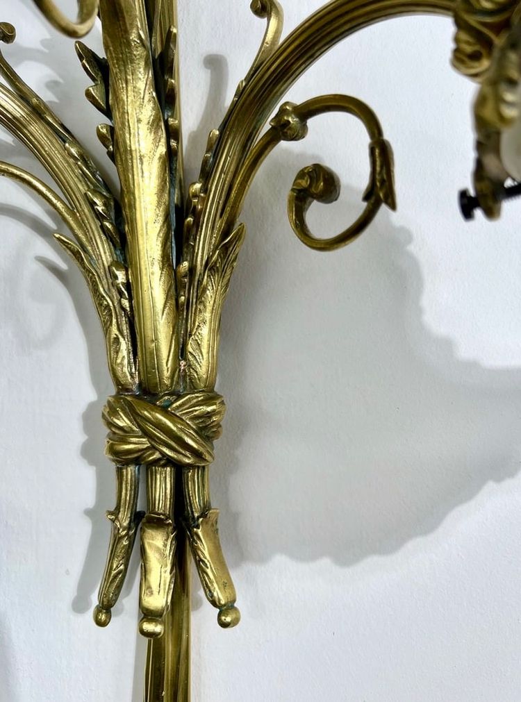 Pair of Bronze and Frosted Glass Tulip Wall Sconces