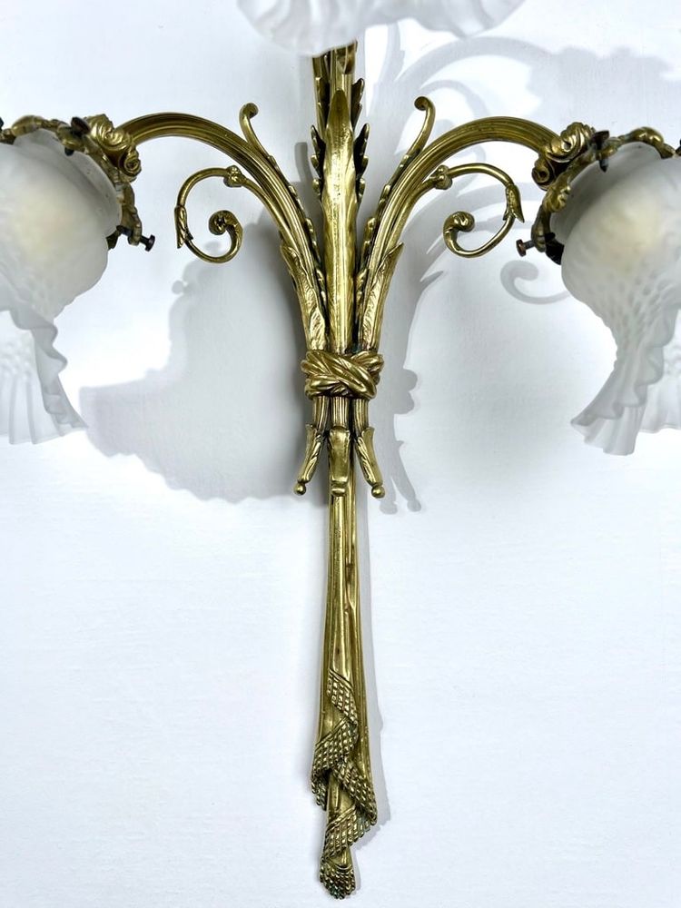 Pair of Bronze and Frosted Glass Tulip Wall Sconces