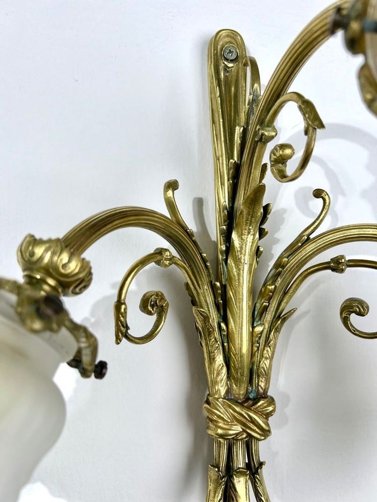 Pair of Bronze and Frosted Glass Tulip Wall Sconces