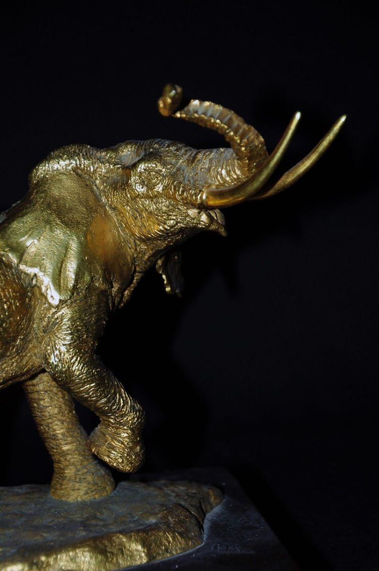 Bronze elephant on wooden base 20th century signed