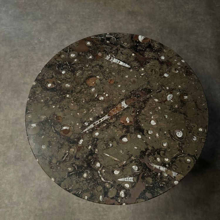 Coffee table with fossilized stone top and Brutalist legs 1970