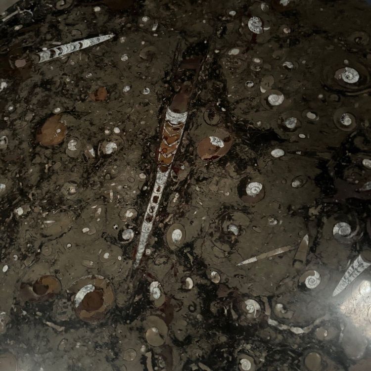 Coffee table with fossilized stone top and Brutalist legs 1970
