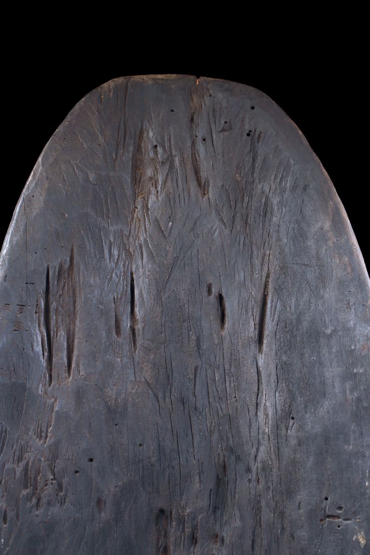 Shield, oceanic art, sculpture, tribal art, primitive art, Oceania, Papua New Guinea
