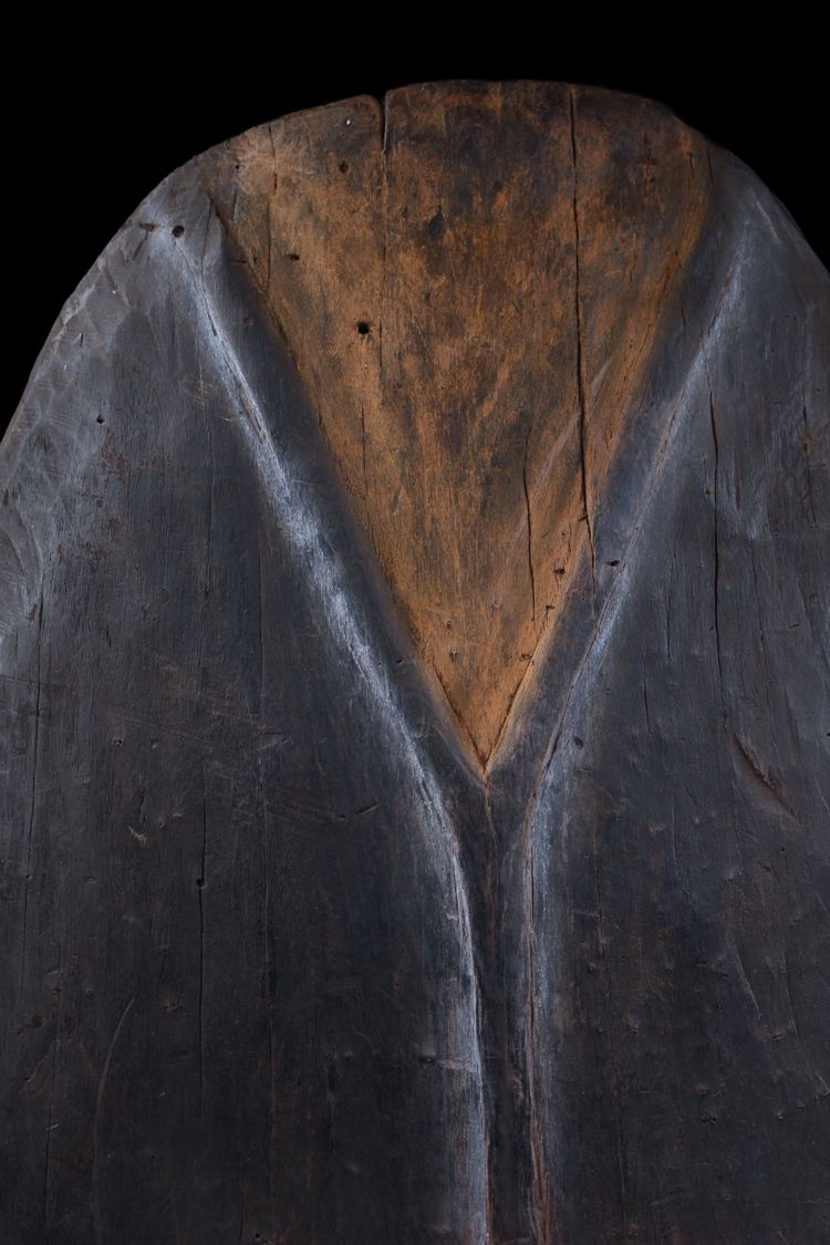 Shield, oceanic art, sculpture, tribal art, primitive art, Oceania, Papua New Guinea